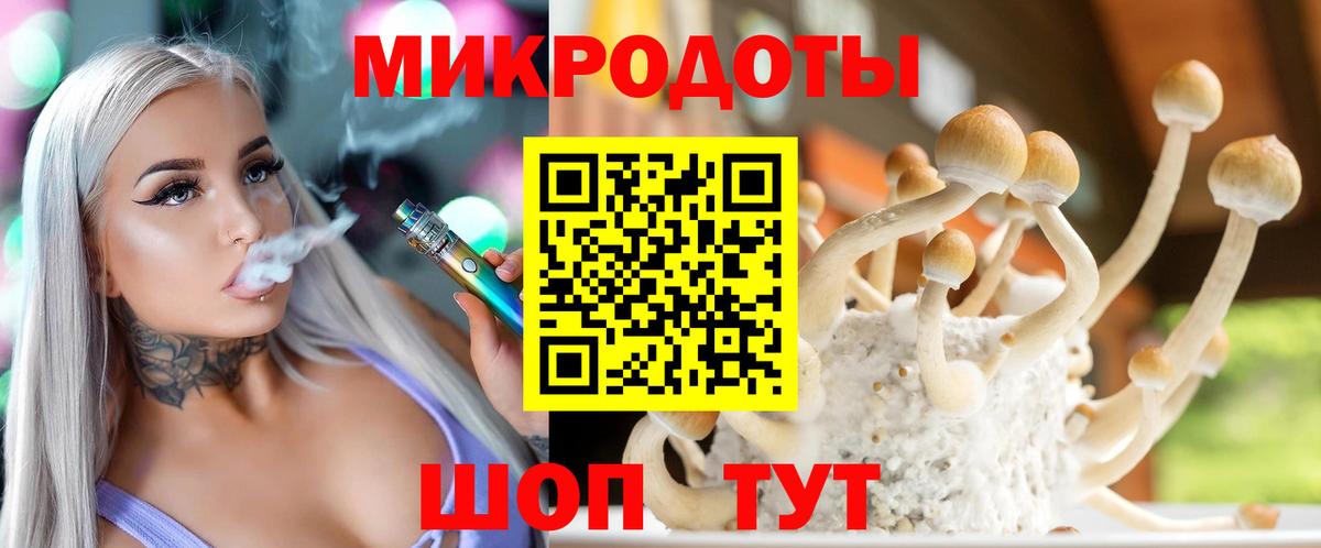 Галлюциногенные грибы мицелий  даркнет сайт  Псилоцибиновые грибы мухоморы  Елабуга  Вход с VPN 