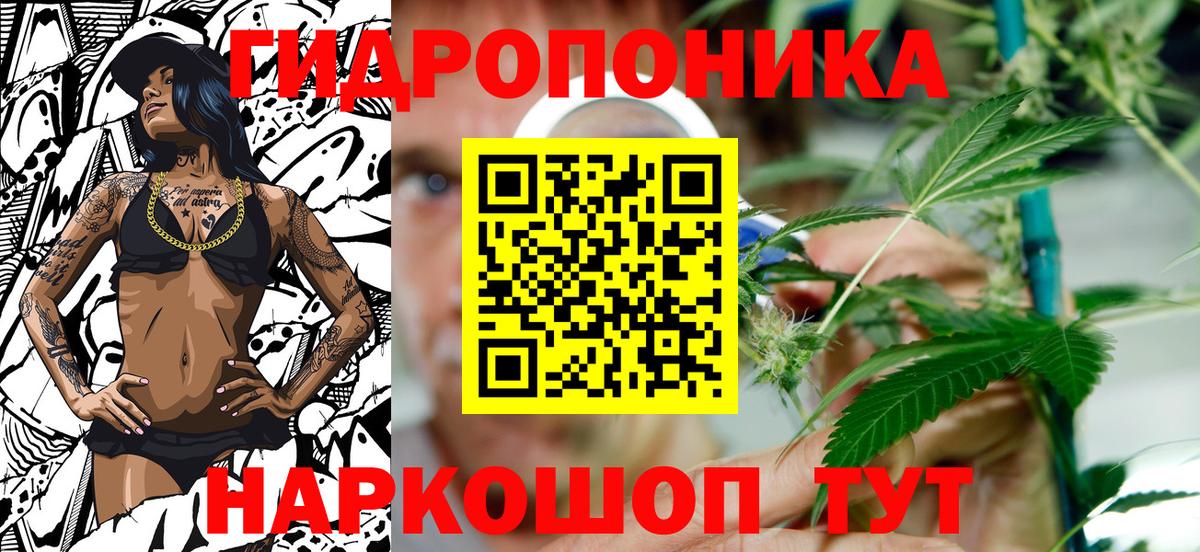 Каннабис индика Елабуга